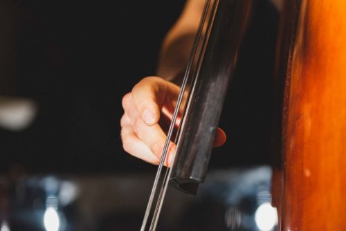 Tentett Probe Stadtgarten